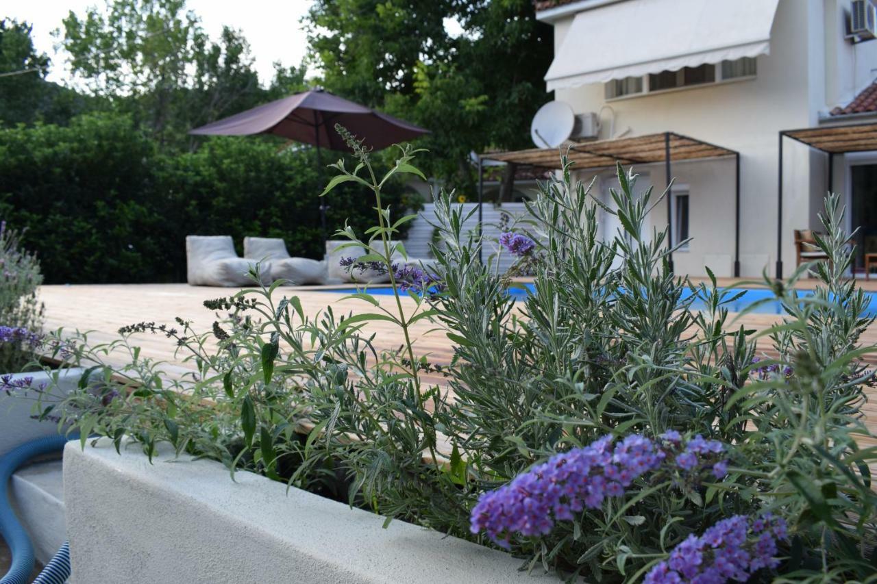 Serenity Luxury Villa, Skiathos Agia Paraskevi  Extérieur photo
