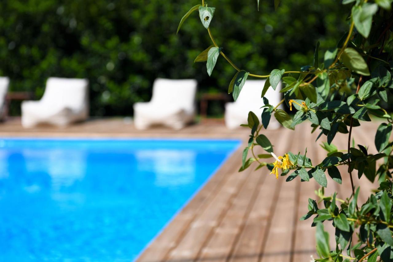 Serenity Luxury Villa, Skiathos Agia Paraskevi  Extérieur photo